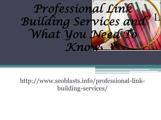 Professional Link
Building Services and
 What You Need To
       Know


http://www.seoblasts.info/professional-link-
            building-services/
 