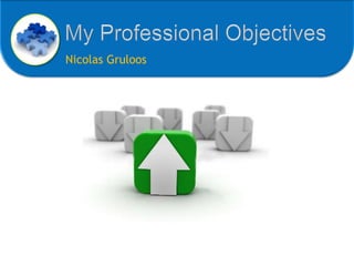 My Professional Objectives Nicolas Gruloos 