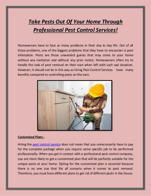 Professional Pest Control Services Help You To Take Pest Out From Home