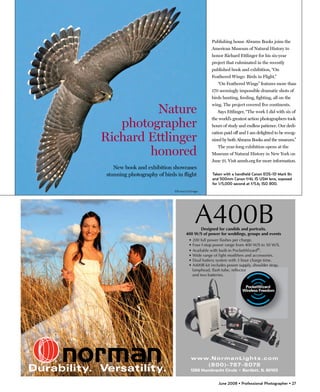 Publishing house Abrams Books joins the
                                                   American Museum of Natural History to
                                                   honor Richard Ettlinger for his six-year
                                                   project that culminated in the recently
                                                   published book and exhibition, “On
                                                   Feathered Wings: Birds in Flight.”
                                                      “On Feathered Wings” features more than
                                                   170 seemingly impossible dramatic shots of
                                                   birds hunting, feeding, fighting, all on the


         Nature
                                                   wing. The project covered five continents.
                                                      Says Ettlinger, “The work I did with six of


   photographer
                                                   the world’s greatest action photographers took
                                                   hours of study and endless patience. Our dedi-


Richard Ettlinger
                                                   cation paid off and I am delighted to be recog-
                                                   nized by both Abrams Books and the museum.”


        honored
                                                      The year-long exhibition opens at the
                                                   Museum of Natural History in New York on
                                                   June 21. Visit amnh.org for more information.
    New book and exhibition showcases
 stunning photography of birds in flight           Taken with a handheld Canon EOS-1D Mark IIn
                                                   and 500mm Canon f/4L IS USM lens, exposed
                                                   for 1/5,000 second at f/5.6, ISO 800.
                              ©Richard Ettlinger




                                                      June 2008 • Professional Photographer • 27
 