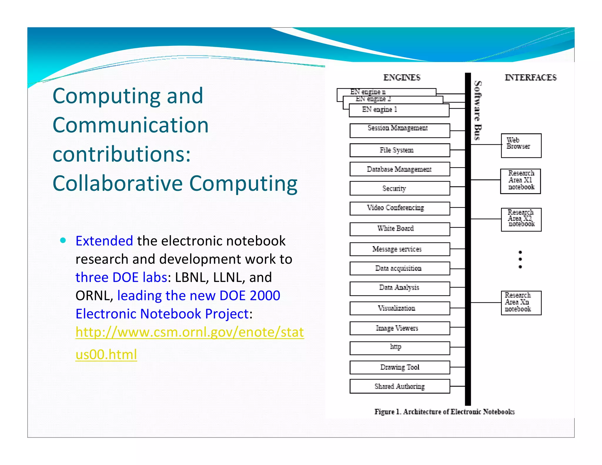 Professional Profile