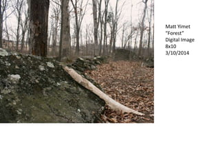 Matt Yimet
“Forest”
Digital Image
8x10
3/10/2014
 