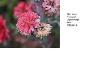 Matt Yimet
“Flowers”
Digital Image
8x10
3/10/2014
 