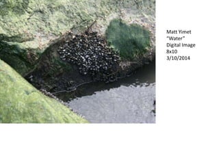 Matt Yimet
“Water”
Digital Image
8x10
3/10/2014
 