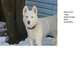 Matt Yimet
“Dog”
Digital Image
8x10
3/10/2014
 