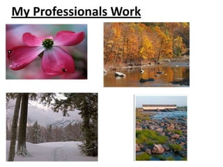 My Professionals Work
 