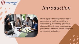 Professional project management techniques to boost productivity.pptx