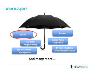 What is Agile? 
Scrum 
Extreme 
Programming 
Kanban 
Scaled Agile 
Framework 
Dynamic Systems 
Feature Driven DevelopmentMethod 
Development 
And many more… 
 