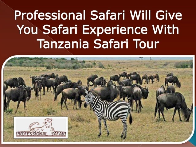 safari professional