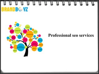 Professional seo services
 