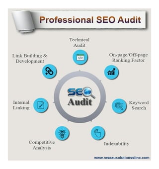 Professional seo audit