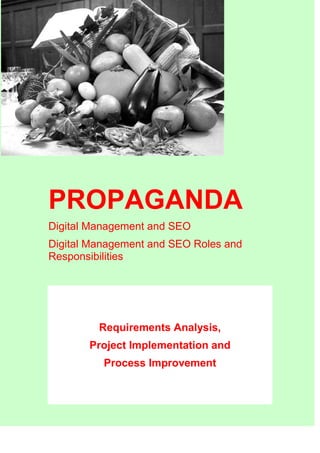 PROPAGANDA
Digital Management and SEO
Digital Management and SEO Roles and
Responsibilities
Requirements Analysis,
Project Implementation and
Process Improvement
 
