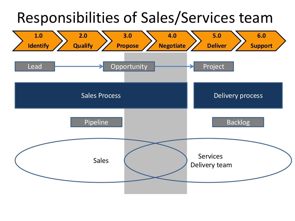 Professional Services Sales Techniques & Methodology