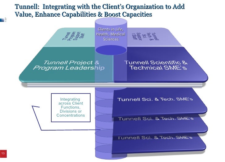 Professional Services Snapshot Overview