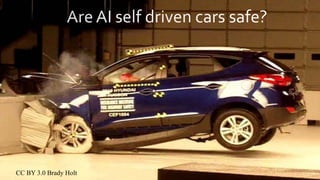 CC BY 3.0 Brady Holt
 