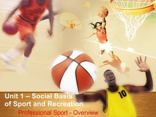 Unit 1 – Social Basis  of Sport and Recreation Professional Sport - Overview 