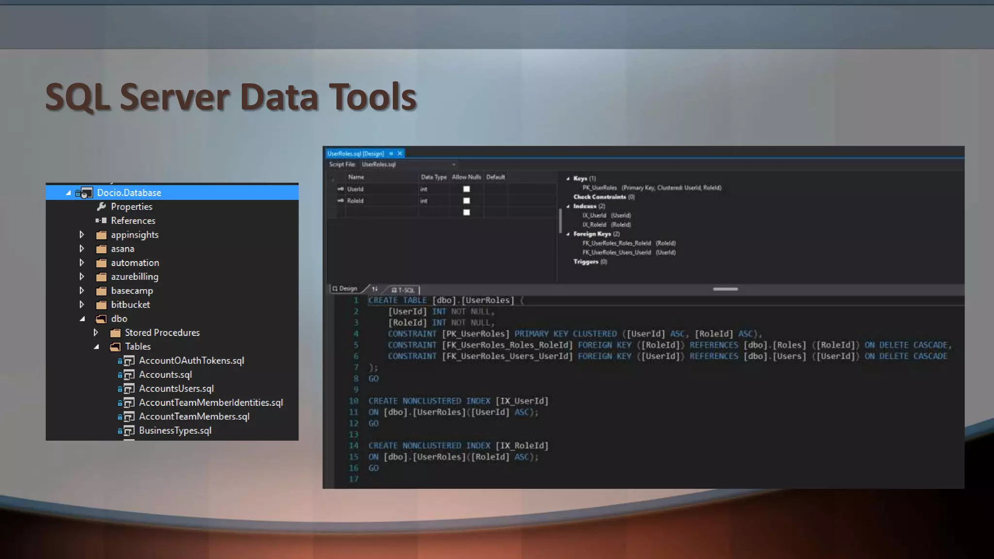 SQL Server Data Tools
 