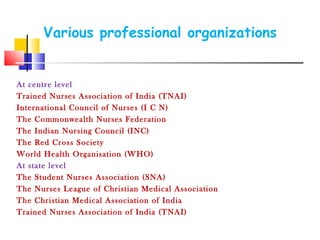 Professional standards in nursing | PPT