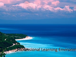 Professional Learning Environm
 