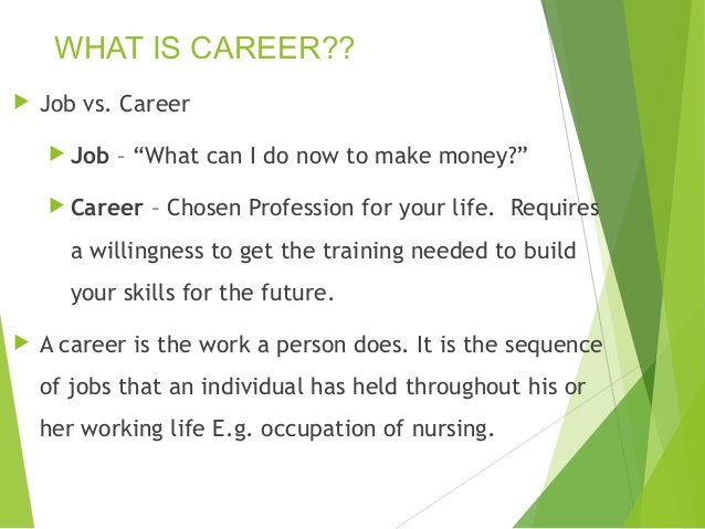 What is my best career option