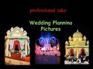 professional take

Wedding Planning
   Pictures
 