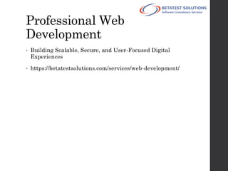 Modern Professional Custom Web Development | PDF