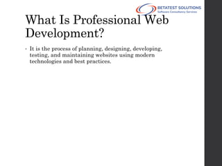 Modern Professional Custom Web Development | PDF