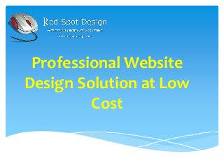 Professional Website
Design Solution at Low
Cost
 
