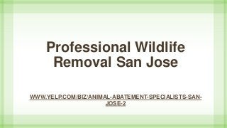 Professional Wildlife
Removal San Jose
WWW.YELP.COM/BIZ/ANIMAL-ABATEMENT-SPECIALISTS-SAN-
JOSE-2
 