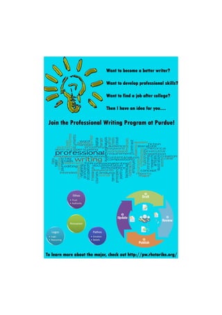 Professional writing infograph