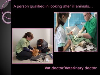A person qualified in looking after ill animals…
Vat doctor/Veterinary doctor
 