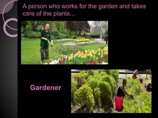 A person who works for the garden and takes
care of the plants…
Gardener
 