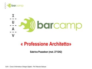 « Professione Architetto» Sabrina Pozzebon (mat. 271242) IUAV – Corso di Informatica e Disegno Digitale – Prof. Maurizio Galluzzo 