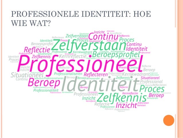 Professionele identiteit en online en blended leren