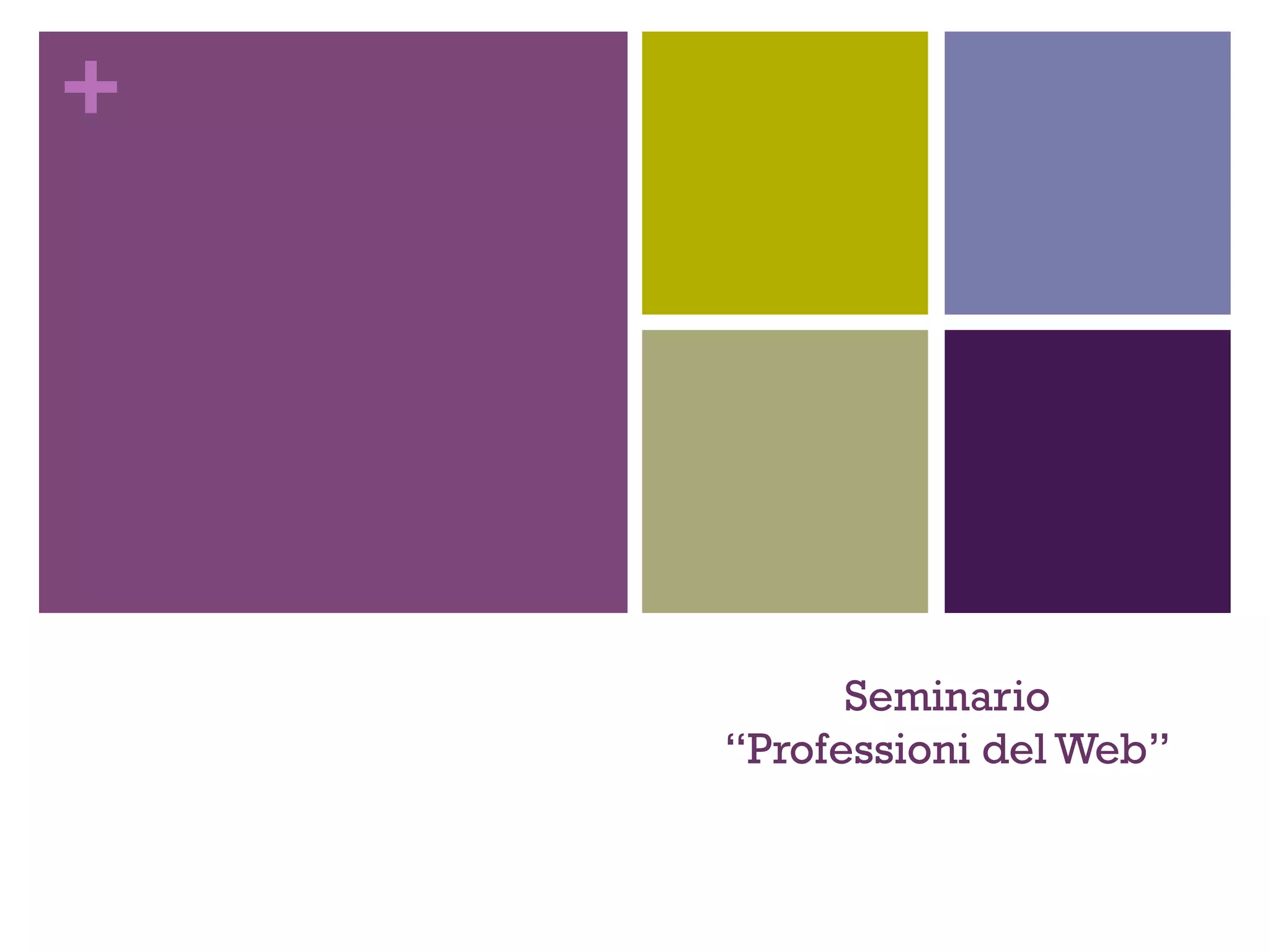 + 
Seminario 
“Professioni del Web” 
 