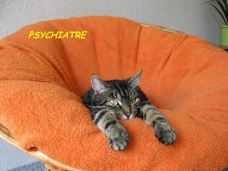 PSYCHIATRE 