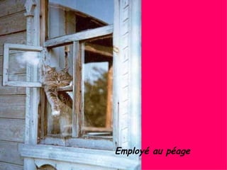 Employé au péage 