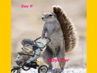 Easy !!! Babysitter  
