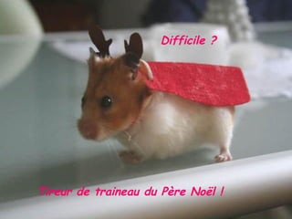 Difficile ? Tireur de traineau du Père Noël !  