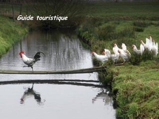 Guide touristique  