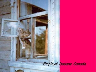 Employé Douane Canada 