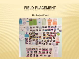 FIELD PLACEMENT
   The Project Panel
 