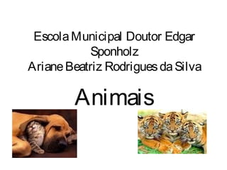 Escola Municipal Doutor Edgar 
Sponholz 
Ariane Beatriz Rodrigues da Silva 
Animais 
 