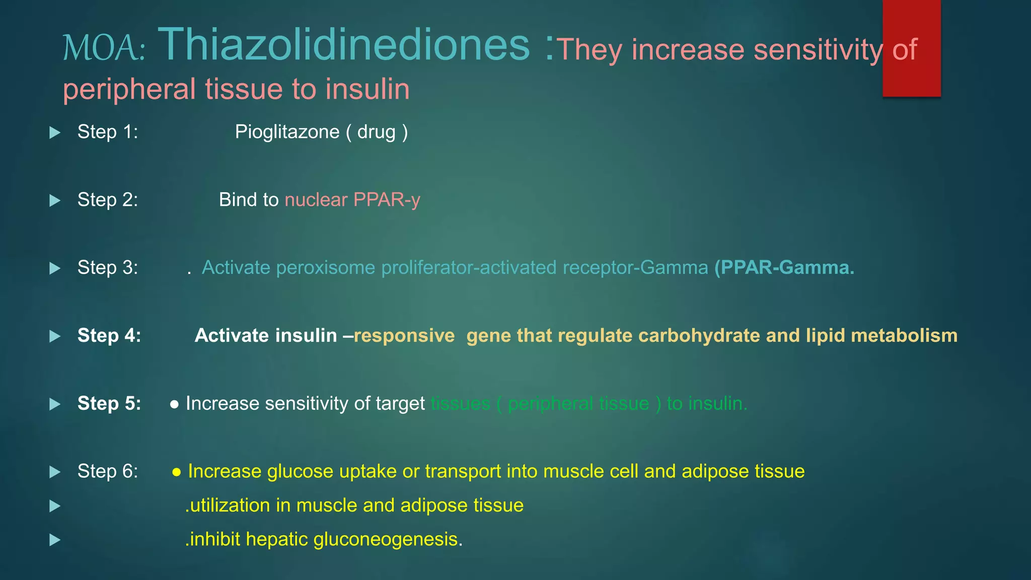 MOA: Thiazolidinediones :They increase sensitivity of
peripheral tissue to insulin
 Step 1: Pioglitazone ( drug )
 Step 2: Bind to nuclear PPAR-y
 Step 3: . Activate peroxisome proliferator-activated receptor-Gamma (PPAR-Gamma.
 Step 4: Activate insulin –responsive gene that regulate carbohydrate and lipid metabolism
 Step 5: ● Increase sensitivity of target tissues ( peripheral tissue ) to insulin.
 Step 6: ● Increase glucose uptake or transport into muscle cell and adipose tissue
 .utilization in muscle and adipose tissue
 .inhibit hepatic gluconeogenesis.
 