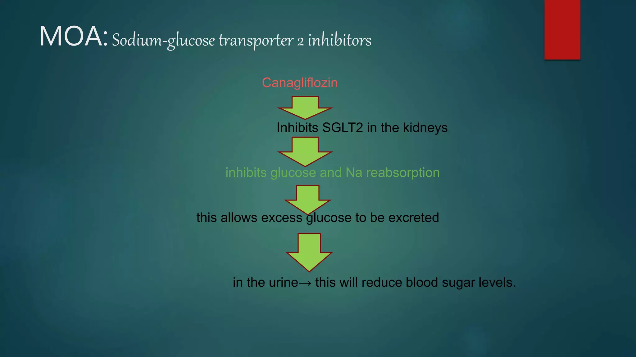MOA:Sodium-glucose transporter 2 inhibitors
Canagliflozin
Inhibits SGLT2 in the kidneys
inhibits glucose and Na reabsorption
this allows excess glucose to be excreted
in the urine→ this will reduce blood sugar levels.
 
