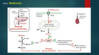 MOA: Metformin
 