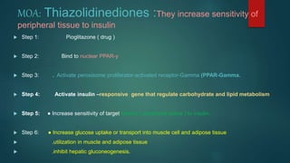 MOA: Thiazolidinediones :They increase sensitivity of
peripheral tissue to insulin
 Step 1: Pioglitazone ( drug )
 Step 2: Bind to nuclear PPAR-y
 Step 3: . Activate peroxisome proliferator-activated receptor-Gamma (PPAR-Gamma.
 Step 4: Activate insulin –responsive gene that regulate carbohydrate and lipid metabolism
 Step 5: ● Increase sensitivity of target tissues ( peripheral tissue ) to insulin.
 Step 6: ● Increase glucose uptake or transport into muscle cell and adipose tissue
 .utilization in muscle and adipose tissue
 .inhibit hepatic gluconeogenesis.
 