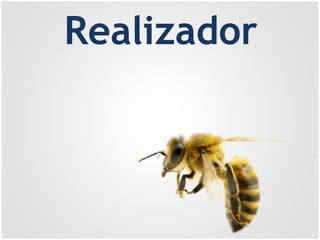 Realizador
 