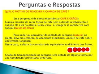 QUAL O MOTIVO DE REVOLVER A CAMADA DE CAFÉ ?
Essa pergunta é de suma importância (CAFÉ E GRÃOS).
A única maneira de secar frutos de café sem o devido revolvimento é
quando ele está na planta. Nesse caso, a secagem se caracteriza com
natural (coisas de Deus).
Para imitar ou aproximar do método de secagem (natural) na
planta, devemos colocar, devidamente espalhado, um lote de café sobre
um terreiro suspenso.
Nesse caso, a altura da camada seria equivalente ao diâmetro dos frutos.
A falta de homogeneidade na secagem será notada de alguma forma por
um classificador profissional criterioso.
 