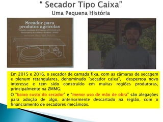Em 2015 e 2016, o secador de camada fixa, com as câmaras de secagem
e plenum retangulares, denominado "secador caixa", despertou novo
interesse e tem sido construído em muitas regiões produtoras,
principalmente na ZMMG.
O “baixo custo do secador” e “menor uso de mão de obra” são alegações
para adoção de algo, anteriormente descartado na região, com o
financiamento de secadores mecânicos.
 